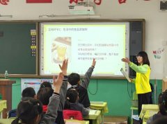 会正在这个课程中领会取卷饼相关的汗青、社会