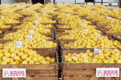 仅对发觉问题的门店要求当即整改 