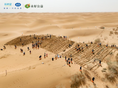 <strong>成为企业沉塑力的焦点计谋</strong> 