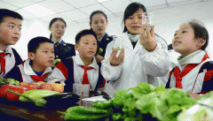 样成本也比力高